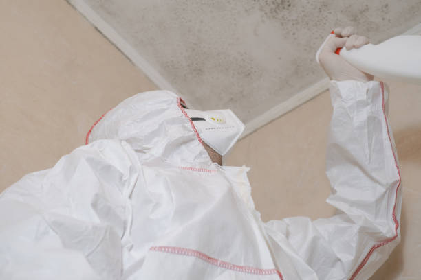 Avon, MN Mold Remediation Company